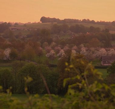 Office du Tourisme de Lisieux