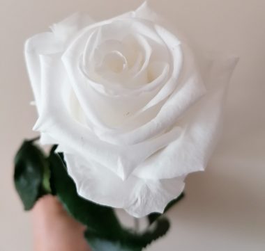 Actions de Grâce / Témoignages