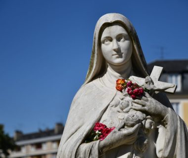 Journée Néophytes